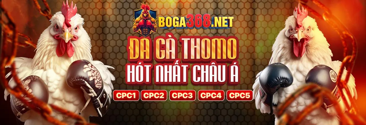 Đá gà trực tuyến hấp dẫn tại Live Casino House